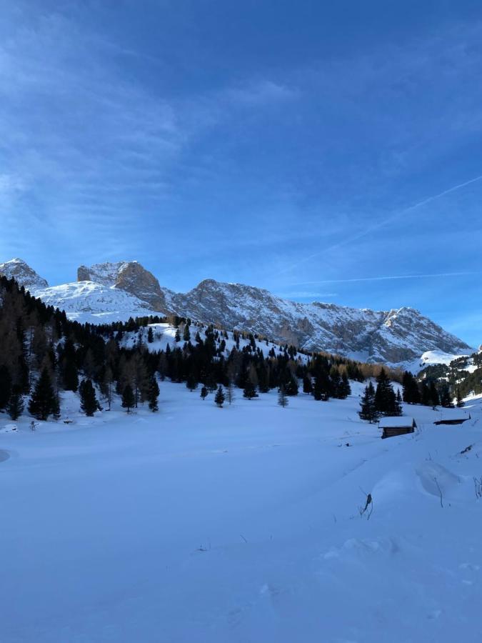 Casa Fiemme Panchia Apartment Екстериор снимка